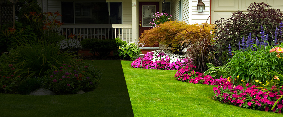Beaufort Landscapers